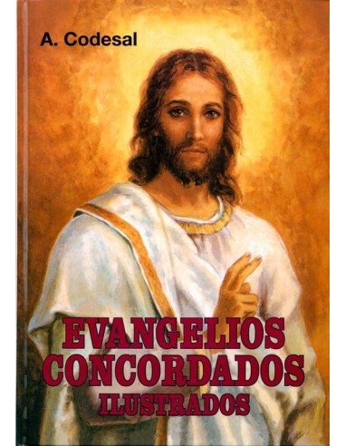 TITULO: EVANGELIOS CONCORDADOS COLOR 
REF: 1512 - ISBN: 8477702381 -  PAGINAS: 272 - MEDIDAS: 170 x 230 
AUTOR: D. ANDRES COD