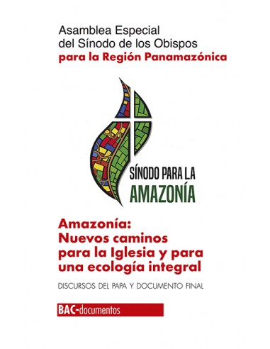 «Nos acercamos con corazón cristiano y vemos la realidad de la Amazonía con ojos de discípulo para comprenderla e interpretarla