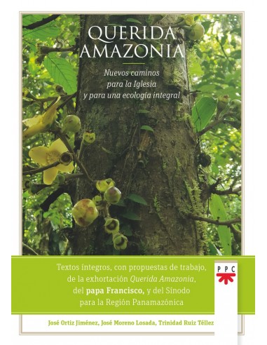Se ofrecen los textos íntegros de la exhortación Querida Amazonia, del papa Francisco, y del Sínodo para la Región Panamazónica